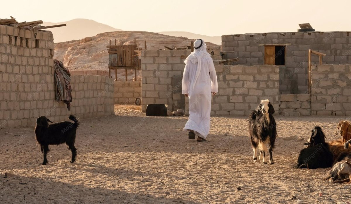 عيد الأضحى