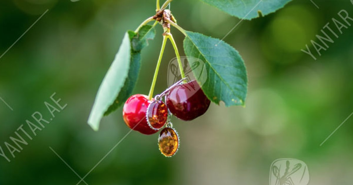 amber earrings