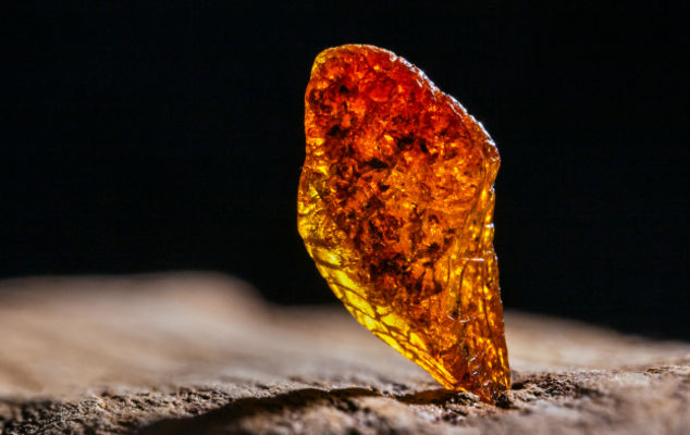 What is Amber in Perfume? Understanding Its Role and Lasting Appeal