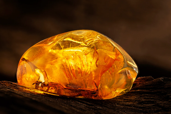 What is Amber in Perfume? Understanding Its Role and Lasting Appeal