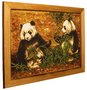 Panel "Pandas"