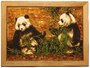 Panel "Pandas"