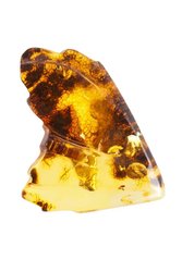 Amber brooch “Butterfly wing”