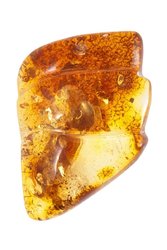 Figured amber brooch