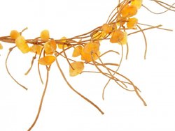 Amber beads “Grass”