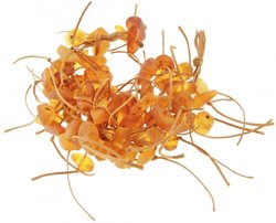 Amber bracelet “Grass”