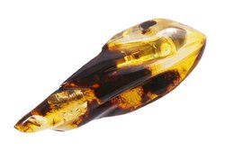 Amber brooch