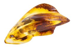 Amber brooch “Comet”