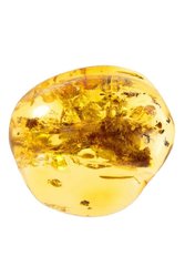 Round amber brooch