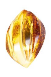 Amber brooch “Gift of the Sun”