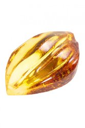 Amber brooch “Gift of the Sun”