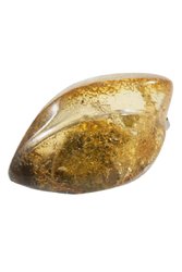 Amber brooch