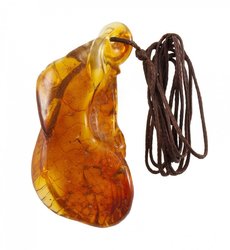 Pendant “Fish” on a waxed rope