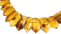 Amber beads "Elina"