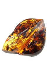 Amber brooch