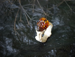 Ring made of deer antler and amber “Skull”