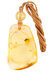 Amber pendant “Shell”