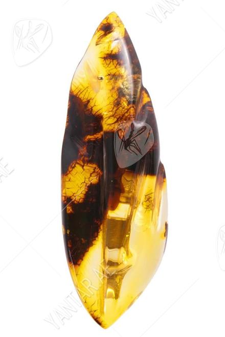 Amber brooch