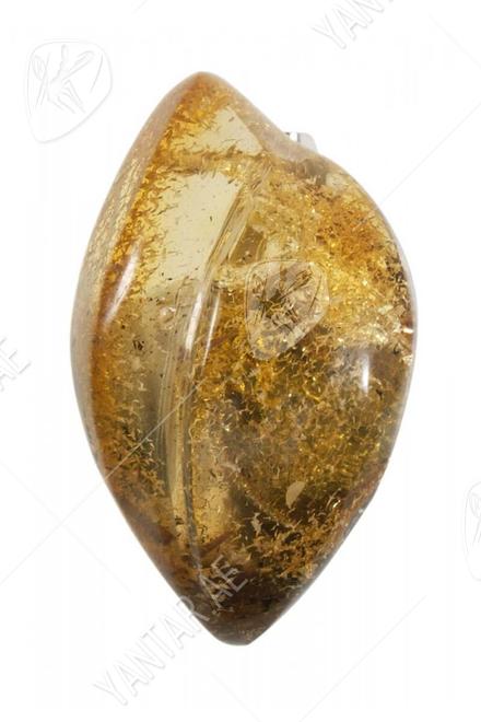 Amber brooch