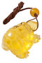 Amber pendant "Turtle"