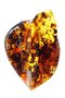 Amber brooch