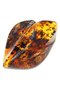 Amber brooch