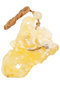 Amber pendant "Dragon"