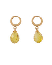 Earrings SSA1714-001