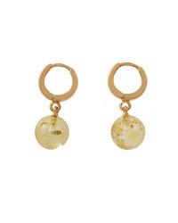 Earrings SSA1715-001