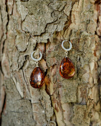 Earrings SSA1731-001
