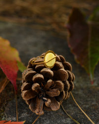 Silver ring with amber and gilding "Adela"