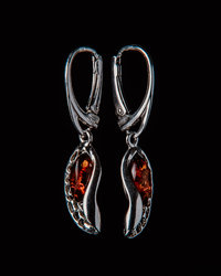 Earrings SS650-001