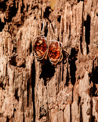 Earrings SS658-001