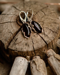 Earrings SS1750-001