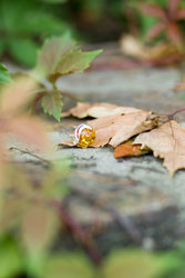 قلادة من الفضة مع العنبر “جايانا”