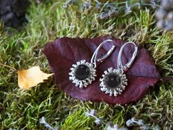 Earrings SS328-001