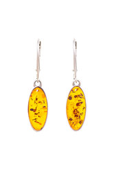 Earrings SS1188-001