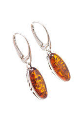 Earrings SS1188-001