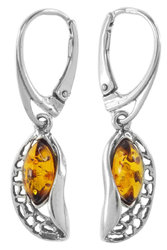Earrings SS650-001