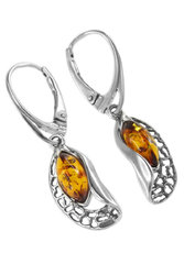 Earrings SS650-001