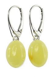 Earrings SS980-001