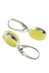 Earrings SS980-001
