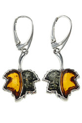 Earrings SS840-001