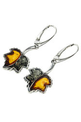 Earrings SS840-001