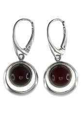 Earrings SS846-001