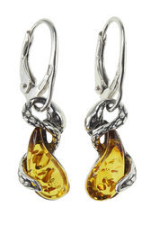 Earrings made of blackened silver with amber “Snakes”