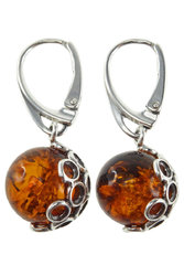 Earrings made of amber balls “Eileen”