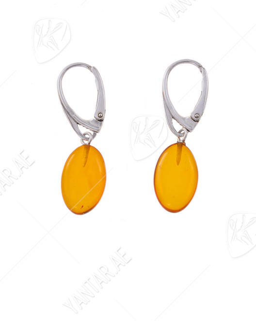 Earrings SSA1729-001