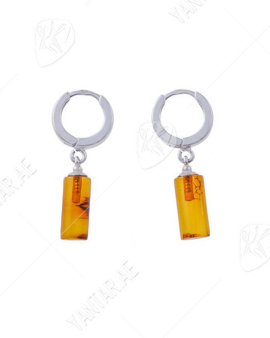 Earrings SSA1737-001