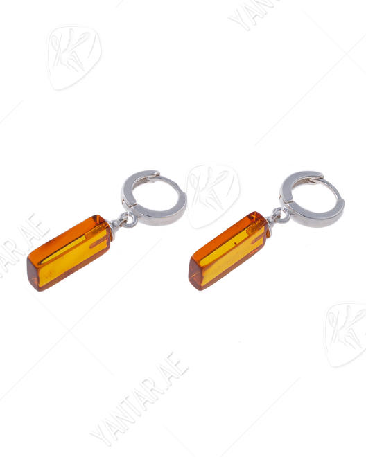 Earrings SSA1727-001